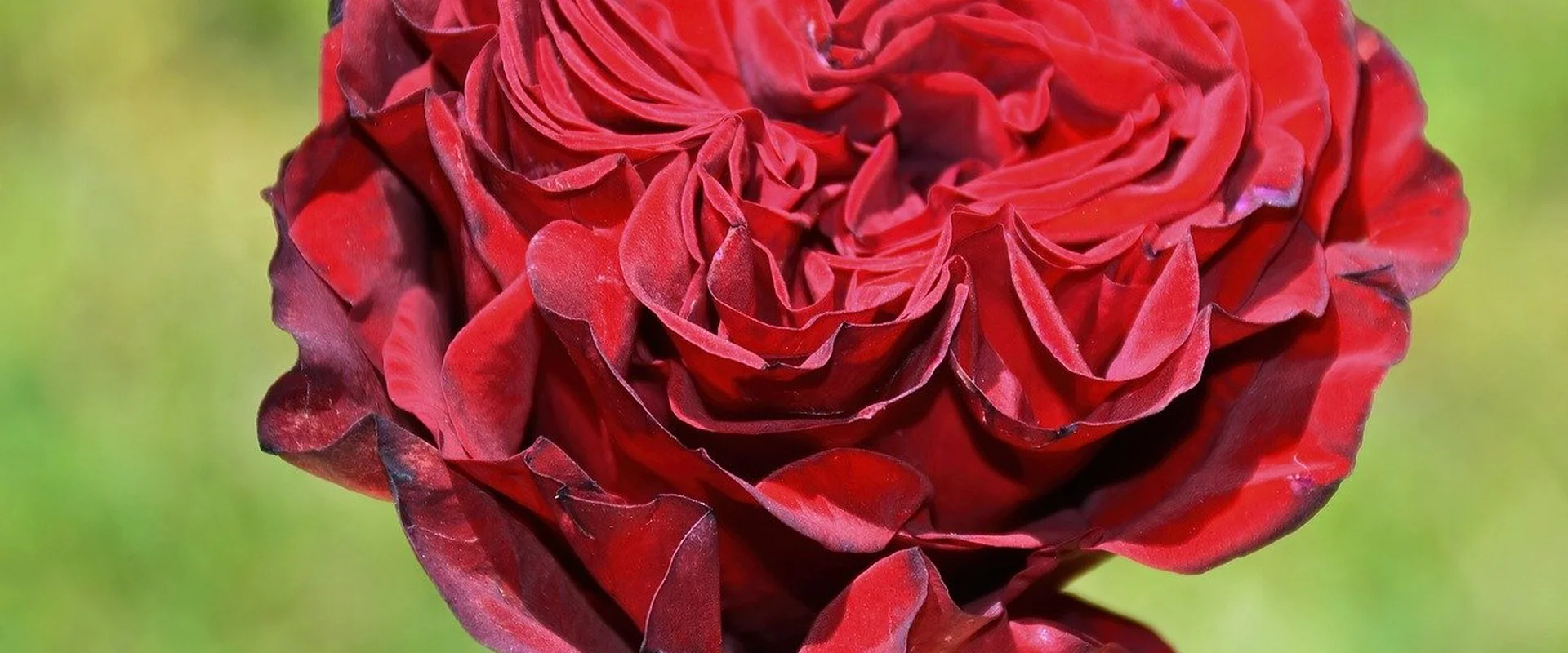 问鼎娱乐娱乐平台